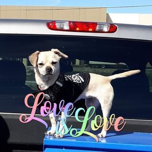 Meet your Posher, Marjorie